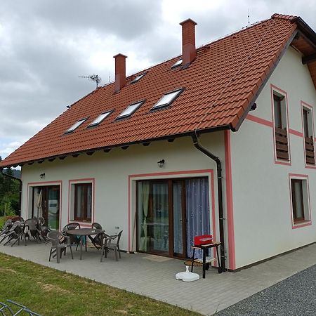 Apartmany U Olsinske Kaplicky Horní Planá Extérieur photo
