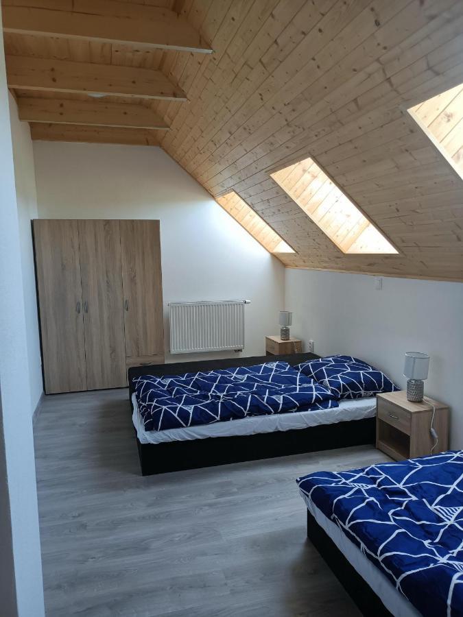 Apartmany U Olsinske Kaplicky Horní Planá Extérieur photo