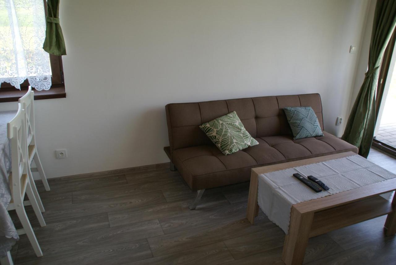 Apartmany U Olsinske Kaplicky Horní Planá Extérieur photo
