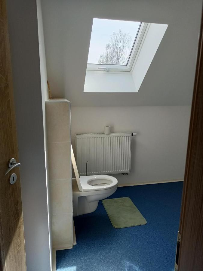 Apartmany U Olsinske Kaplicky Horní Planá Extérieur photo