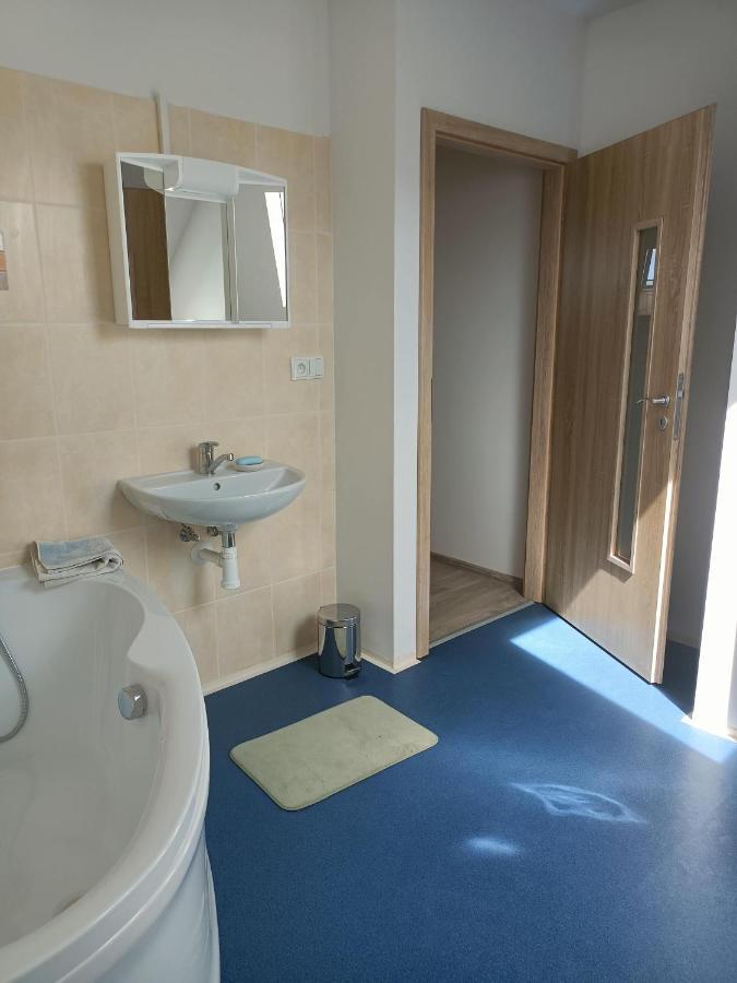 Apartmany U Olsinske Kaplicky Horní Planá Extérieur photo