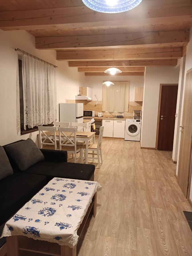 Apartmany U Olsinske Kaplicky Horní Planá Extérieur photo